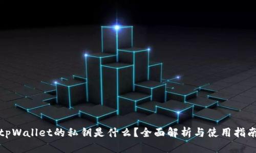 tpWallet的私钥是什么？全面解析与使用指南