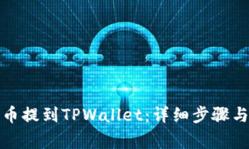 如何将屎币提到TPWallet：详细步骤与注意事项