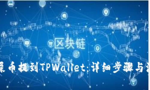 如何将屎币提到TPWallet：详细步骤与注意事项