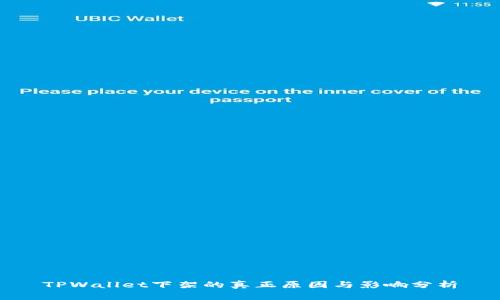 TPWallet下架的真正原因与影响分析