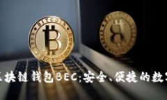 探索美图区块链钱包BEC：