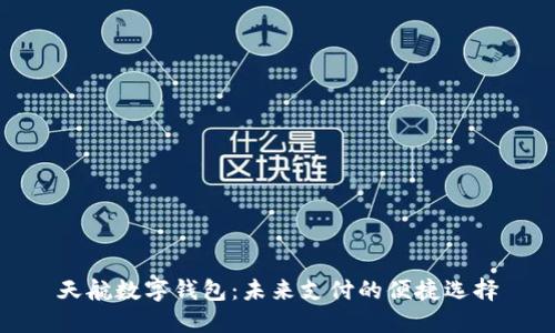 天航数字钱包：未来支付的便捷选择