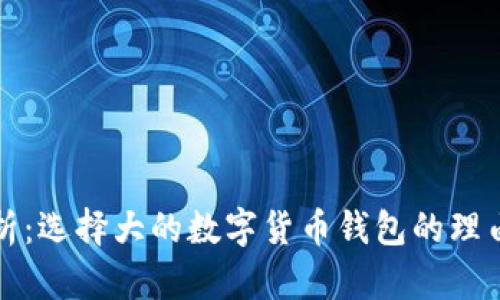 全面解析：选择大的数字货币钱包的理由与推荐