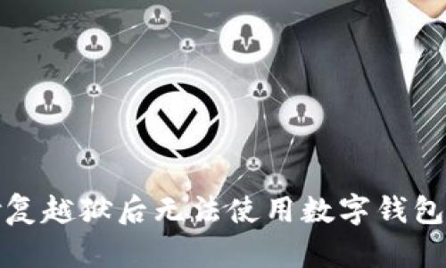 如何修复越狱后无法使用数字钱包的问题