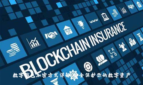 数字钱包加密方式详解：安全保护你的数字资产