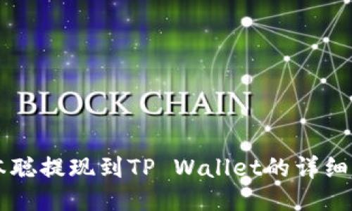 中本聪提现到TP Wallet的详细指南
