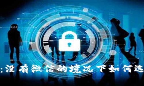 数字钱包的优势与挑战:没有微信的境况下如何选择最佳的支付解决方案