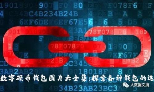 : 一站式数字硬币钱包图片大全集：探索各种钱包的选择和使用