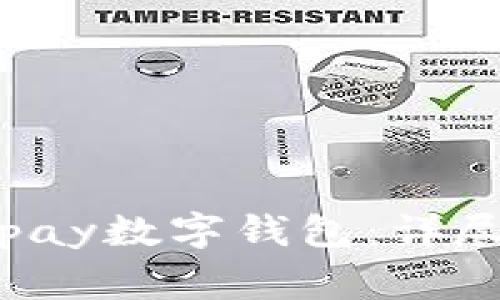 如何高效注册Topay数字钱包：详尽步骤与注意事项