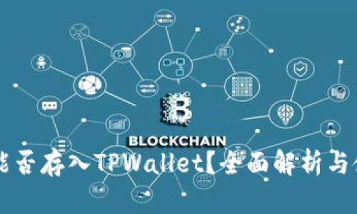 莱特币能否存入TPWallet？全面解析与使用指南