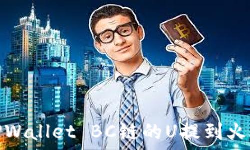   
如何将TPWallet BC链的U提到火币交易所