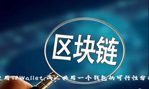 使用TPWallet：两人共用一个钱包的可行性分析