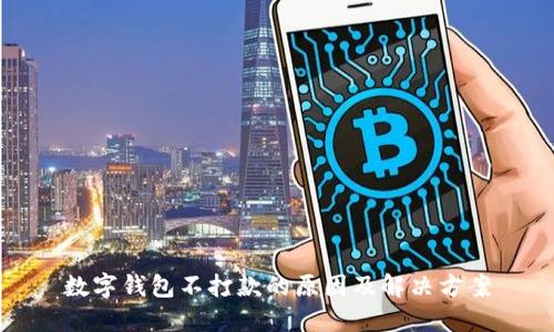 数字钱包不打款的原因及解决方案