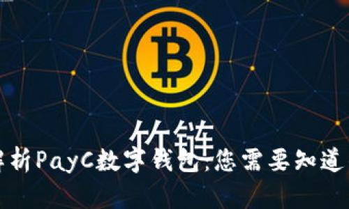 全面解析PayC数字钱包：您需要知道的一切