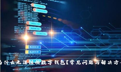 为什么无法注册数字钱包？常见问题与解决方案