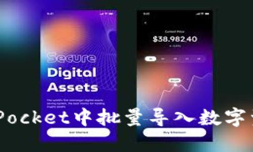 如何在TokenPocket中批量导入数字资产：完整指南