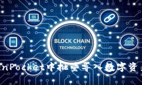 如何在TokenPocket中批量导入数字资产：完整指南