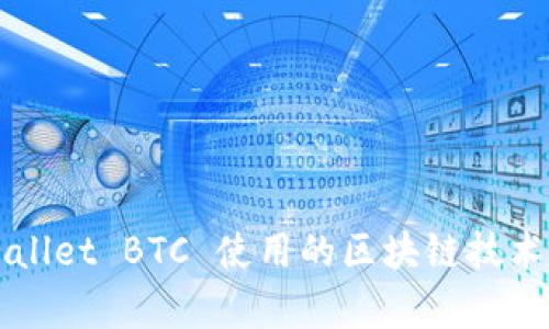 TPWallet BTC 使用的区块链技术分析