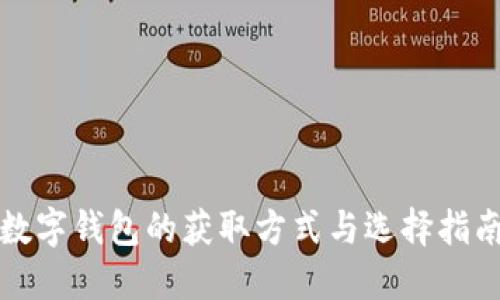数字钱包的获取方式与选择指南