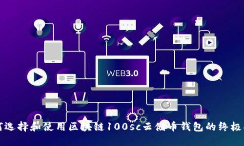 如何选择和使用区块链100sc云储币钱包的终极指南