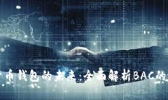 央行数字货币钱包的未来