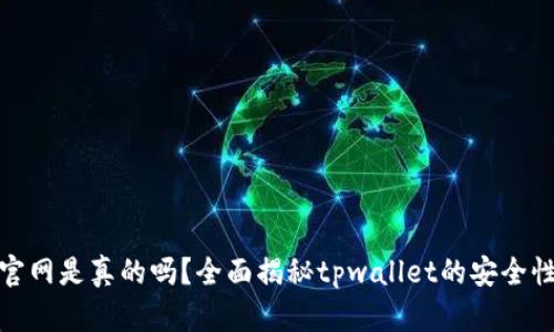 tpwallet官网是真的吗？全面揭秘tpwallet的安全性与可靠性