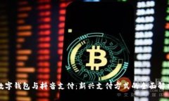 数字钱包与抖音支付：新