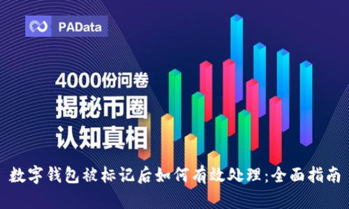 数字钱包被标记后如何有效处理：全面指南