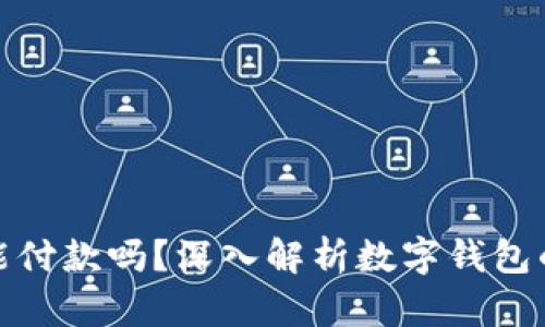 数字钱包测试版能付款吗？深入解析数字钱包的功能与使用场景