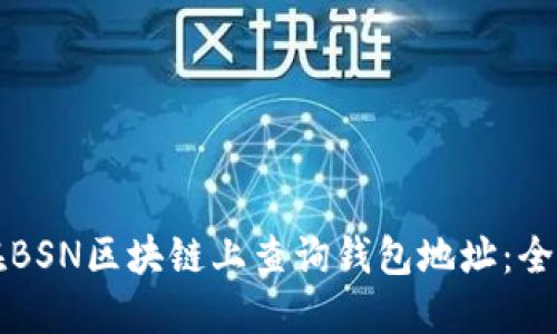 如何在BSN区块链上查询钱包地址：全面指南