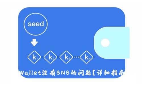 如何解决TPWallet没有BNB的问题？详细指南与解决方案