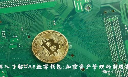 深入了解DAE数字钱包：加密资产管理的新选择