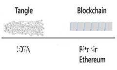 金华数字钱包使用指南：
