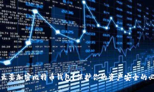 为什么要加密比特币钱包？保护你的资产安全的必要性