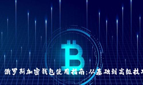 : 俄罗斯加密钱包使用指南：从基础到高级技巧