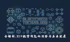 全解析：ZIP数字钱包的优