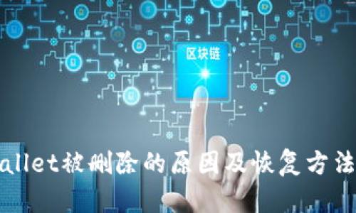 TPWallet被删除的原因及恢复方法详解