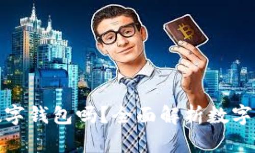 你真的需要数字钱包吗？全面解析数字钱包的利与弊