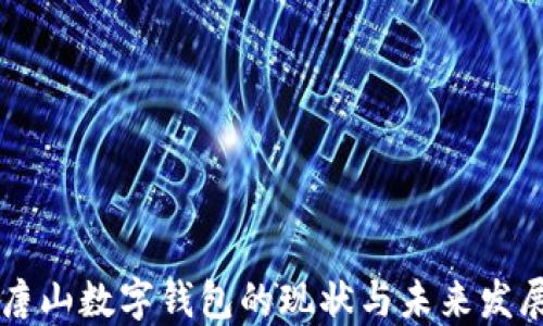 
唐山数字钱包的现状与未来发展