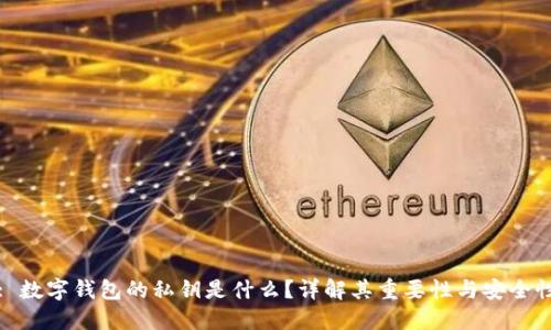 : 数字钱包的私钥是什么？详解其重要性与安全性