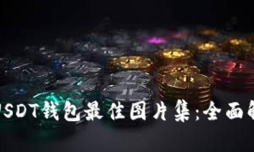 数字钱包USDT钱包最佳图片集：全面解析与推荐
