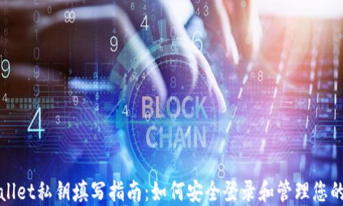 
TPWallet私钥填写指南：如何安全登录和管理您的钱包