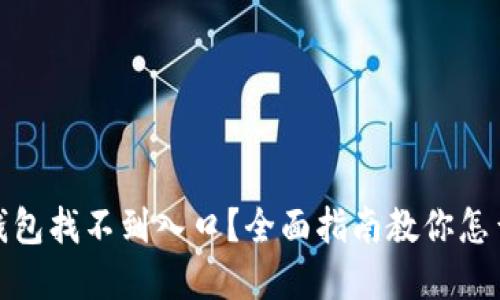 : 数字钱包找不到入口？全面指南教你怎么找到它