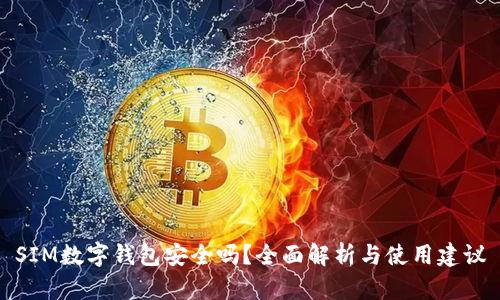 SIM数字钱包安全吗？全面解析与使用建议