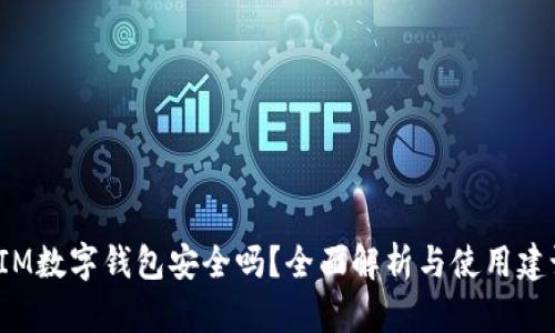 SIM数字钱包安全吗？全面解析与使用建议