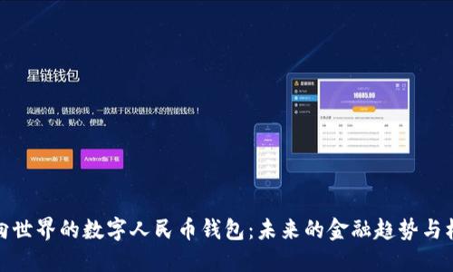 走向世界的数字人民币钱包：未来的金融趋势与机遇