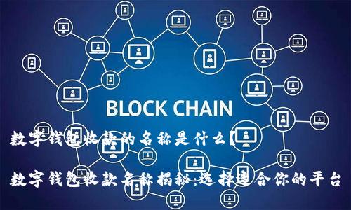 数字钱包收款的名称是什么？

数字钱包收款名称揭秘：选择适合你的平台
