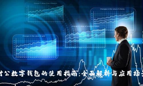 对公数字钱包的使用指南：全面解析与应用场景