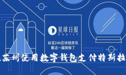 如何在苏州使用数字钱包支付特斯拉购车款