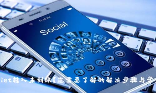 TPWallet转入未到账？您需要了解的解决步骤与常见问题